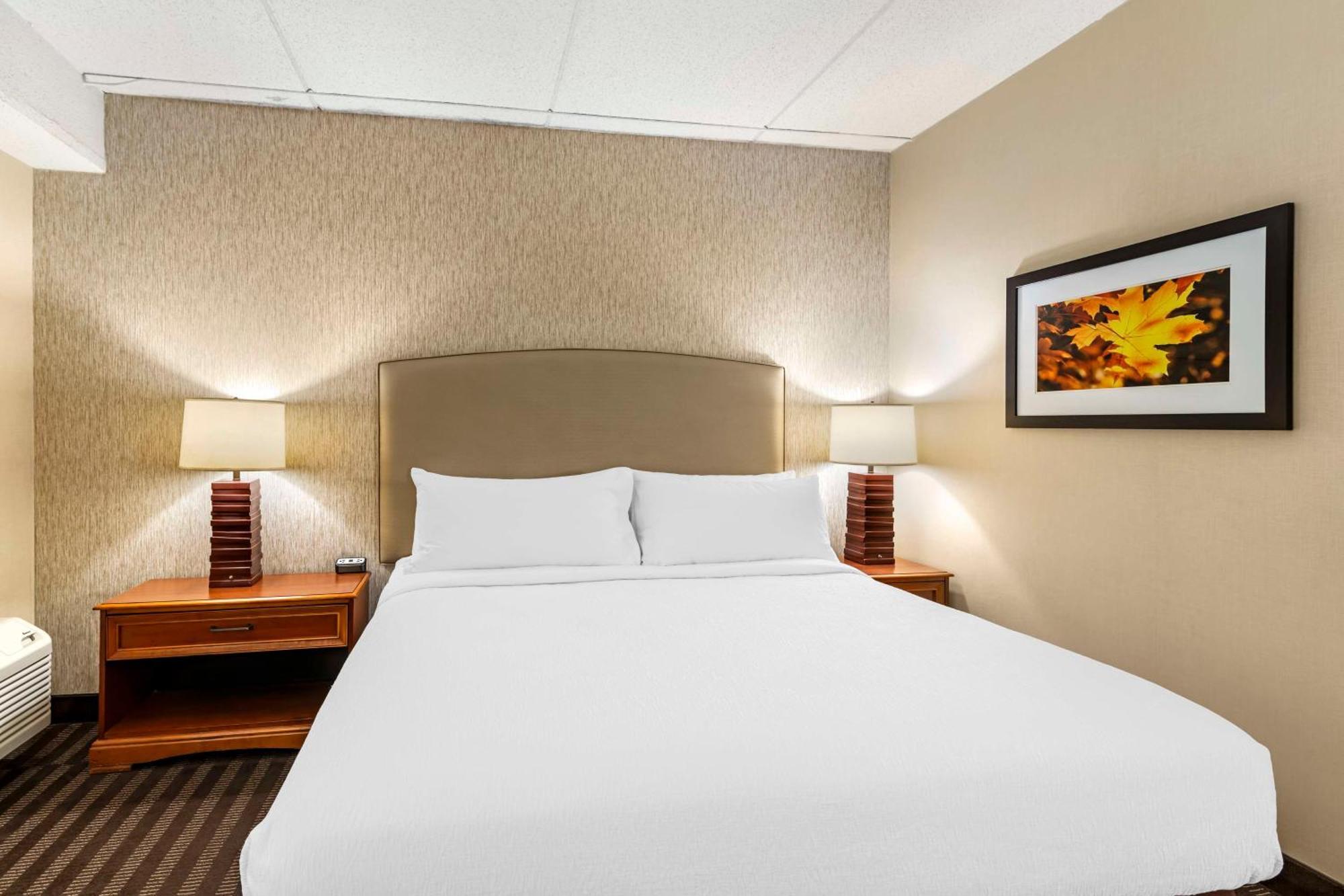 Best Western Springfield Hotel Exterior foto